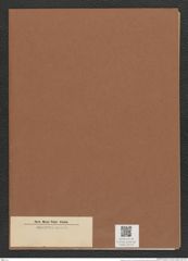 Synedra sp. (de-Toni-Nr.: Genus 66) Zeichnungen Sammlung Grunow Mappe 02773 (Herbarium_W_Grunow_drawings_Folder_02773)